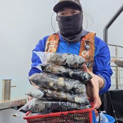 인천 [마린스타 1호 & 3호] 10월 20일(화) [쭈꾸미 갑오징어] 조황!!!