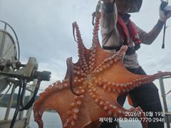 "돌문어" 1300g부터 키로키로 대물들~ 떠블에 트리플힛트!! 마릿수 좋아요^^(예약가능)