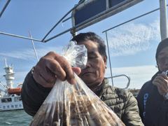 삼천포 쭈꾸미 조황 !! 장원143수 금토일 자리여유