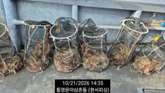(문어)걸면 크다!!! K~800g전후 망탱이 터질 듯~현서피싱(22일예약)