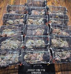 (문어)오늘 출항확정 K전후 우당탕탕 19수18수 퍼 담고~강민호
