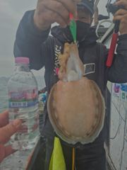 20일팬텀호조황
