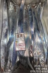 내만 갈치~ 3.5지까지~ 씨알최고~ 손맛최고~ 쿨러묵직~ 초보가능~ 목금토일 예약가능~
