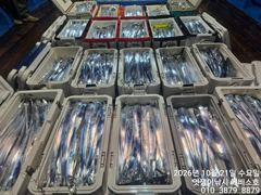 [진해] 준내만갈치~3.4.5지까지 쿨러 빵빵하다~토요일한분펑구/일요일부…