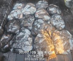 찰갑으로 100수 장원118마리