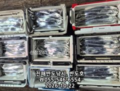 [진해] 22일,내만갈치 씨알 커지고 예민한 입질에 꼬셔 잡고,내일1자리…
