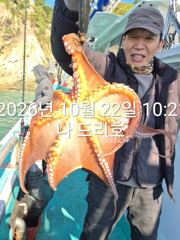 22일, 군산 왕문어 ~문어 빅 싸이즈 게임~오늘도 나오네요~실시간~매일출조~군산낚시프라자 나드리호