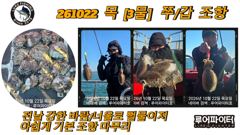 10/22 목 [3물] 쭈꾸미/갑오징어 조항 입니다.
