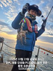 [통영] 통영 금정호 키로급 문어들 손맛 좋습니다 주말 자리 여유있습니다