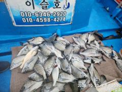 <이슬호>감성돔 갑판가득 조황