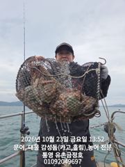 통영 금정호 문어낚시 매일 대박입니다 내일과 주말 자리있습니다