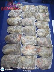 22일(야간문어) 토.일.월.예약가능 쭉쭉 대구리잡으로갑니다