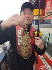 10월 23일 쭈꾸미/갑오징어 조황입니다.