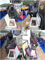 (여수 드림스타)돌문어사냥 쭈욱나갑니다. 전투 전투