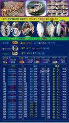 ♥붉바리조황 이정도는 잡아봐야지요 초초대대박조황입니다[2026년10월23일] ◎ 해마루호가 뜨는이유? 조황때문이죠 ◎ 핵심포인트: 바로진입.. 바로히트.. ◎ 차원이 다른 조황으로 모십니다 ▣ 요즘 붉바리낚시가 대세입니다