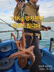 삼천포 마린보이 10. 23. 금요일 오붓하게 주간문어 다녀왔습니다.