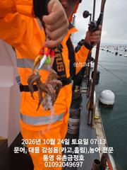 [통영] 통영 금정호 비속에도 문어는 잘나옵니다 오늘오후 내일오전 자리있…