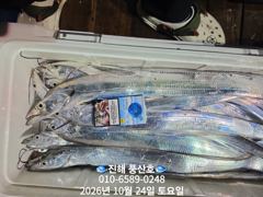 [진해] (풍산)내만갈치~용가리~1타2피~느나느나~(예약가능합니다)