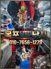 [목포VIP호] 10월23일 빗속투혼 한팩 기본 쭈갑조황!