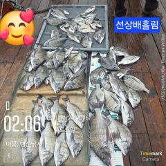 [고성] 병산 감성돔43,42,4짜외 마리수 선상배 &선외기흘림~~