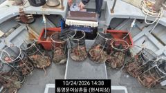 (문어)싹다 K오버 2K 빅원 초초초~대박의 현장~현서피싱(25일예약)