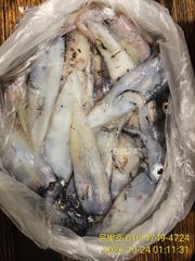 먼바다 갈치텐빈 갈치 퍽퍽~! 한치도 퍽퍽~ 수요일부터 예약가능