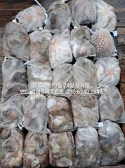 10월24일 군산 홈런호 주간 문어 마무리 조황 입니다. 승선하신 조사님들 수고 하셨습니다.