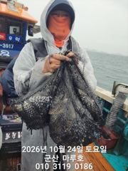 ★★ 10 / 24 [군산 대일피싱] 마루호 갑오징어 굿조황~! 다음주 평일 자리 있습니다.