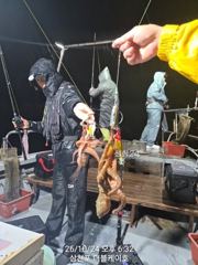 [사천] 삼천포 문어, 주꾸미 조황!