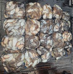 [군산] 26년10월25일 군산퍼스트피싱 다온호 갑오징어 마무리 조황!