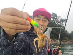 3시간전 [서천,보령] 무창포_킹피싱_킹피쉬호_10월25일_갑오징어_조황입니다
