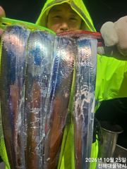 [진해] 우와~내만칼치3지4지,용가리들 엄청나게잡고 씨알초대박~오늘 예약…