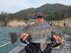 (감성돔)5짜 54Cm 외 괴물2방 팅 어초여밭 소식 야호(27일예약)