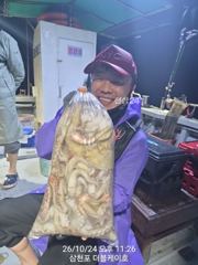 삼천포 문어, 주꾸미 조황!
