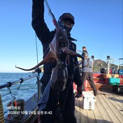 10월26일 문어출조황입니다