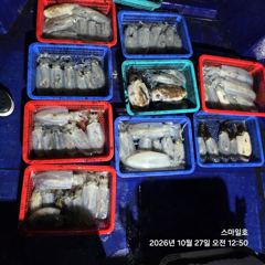 내만권(무늬오징어) 빅사이즈~앗따 씨알이 끝장판~스마일호(28일 예약)