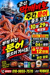 [군산] 문어 출조모집