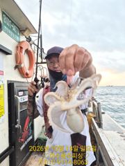 여수 용주피싱 쭈.갑오징어 출조 모집 합니다.