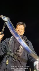 (갈치)약속의 시간 3지4지 퍽퍽 만쿨~반쿨까지~고고피싱호(30일예약)