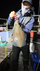 [통영] 무늬팁런 k오버.k,무시 마리수로 올라탑니다~