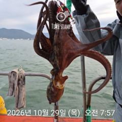 암초 포인트 문어 낚시