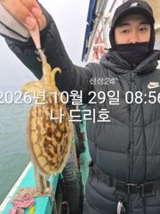 [진해] 내만 갈치 씨알이가 짱입니당~~(일욜부터 예약 가능)