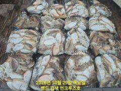 29일 썬크루즈호 갑오징어 마무리 조황 입니다