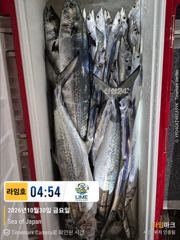 어제보다 못한하루 ㅜ.ㅜ. 그래도 포기없이 갈치찾아 달립니다.