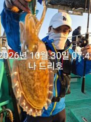 30일, 군산 갑오징어~싸이즈 굿~실시간~~내일도 갑니다~군산낚시프라자 나드리호