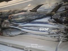 #14석.통영민경호# 오늘도 고생많으셨습니다