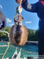 통영박프로호 돌문어 실시간(야간출항)