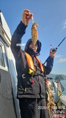 쭈꾸타작중내일오후돌문어출동