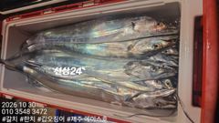 [제주] 제주에이스호!!(10월29일) 대갈치 사냥다녀왔습니다010 35…