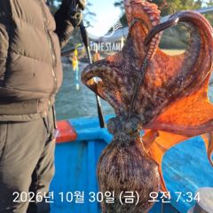 암초 포인트 문어 낚시